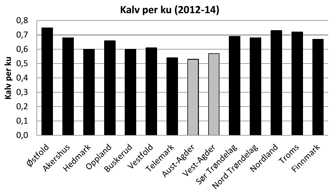 Sett kalv pr.