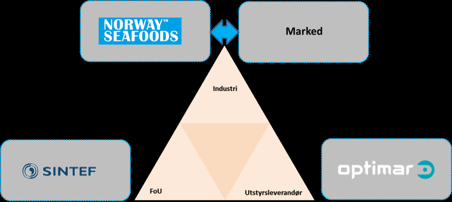 AS Optimar Stette AS Norway Seafoods AS Prosjektfinansiering: FHF: Forprosjekt kr. 0,86 mill.