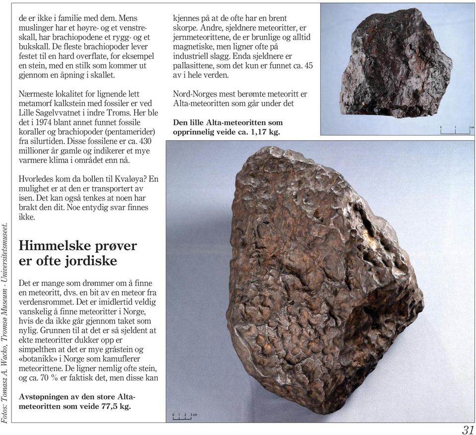 Nærmeste lokalitet for lignende lett metamorf kalkstein med fossiler er ved Lille Sagelvvatnet i indre Troms.
