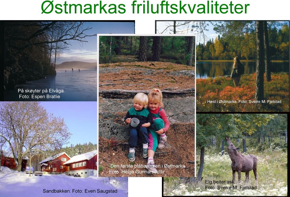 Fjelstad Den første blåbærturen i Østmarka Foto: Helga