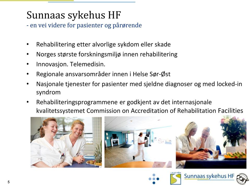 Regionale ansvarsområder innen i Helse Sør-Øst Nasjonale tjenester for pasienter med sjeldne diagnoser og med