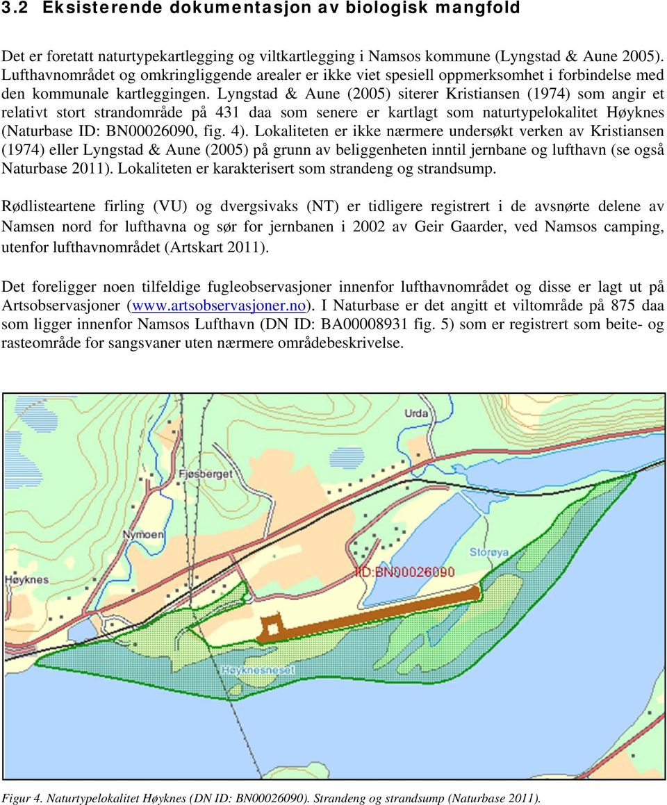 Lyngstad & Aune (2005) siterer Kristiansen (1974) som angir et relativt stort strandområde på 431 daa som senere er kartlagt som naturtypelokalitet Høyknes (Naturbase ID: BN00026090, fig. 4).