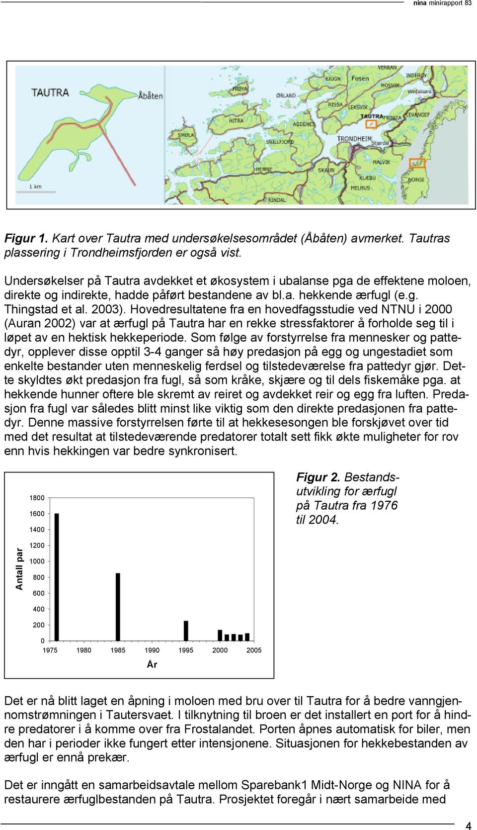 Hovedresultatene fra en hovedfagsstudie ved NTNU i 2000 (Auran 2002) var at ærfugl på Tautra har en rekke stressfaktorer å forholde seg til i løpet av en hektisk hekkeperiode.