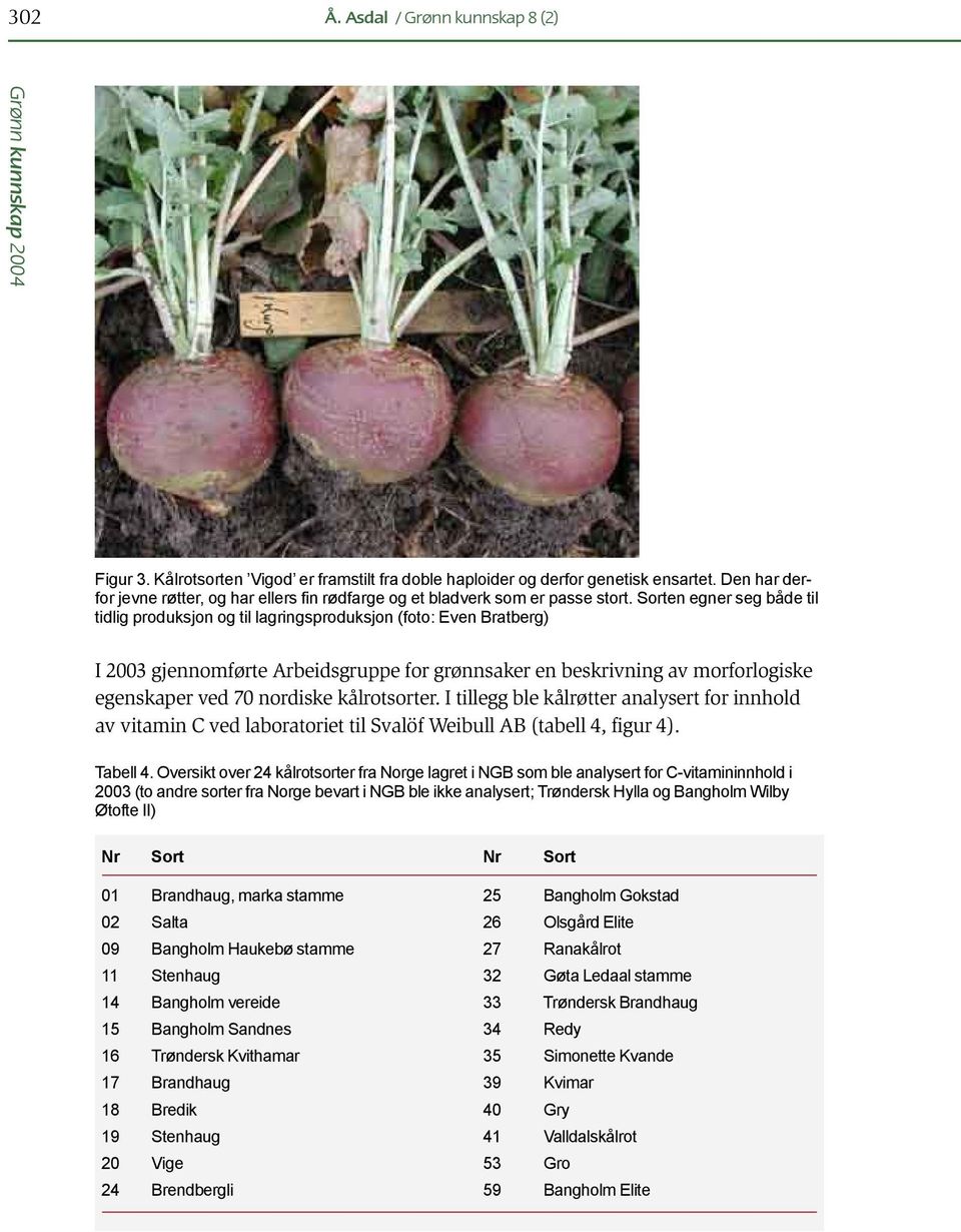 Sorten egner seg både til tidlig produksjon og til lagringsproduksjon (foto: Even Bratberg) I 2003 gjennomførte Arbeidsgruppe for grønnsaker en beskrivning av morforlogiske egenskaper ved 70 nordiske