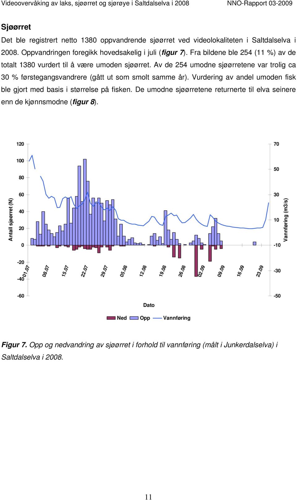 Vurdering av andel umoden fisk ble gjort med basis i størrelse på fisken. De umodne sjøørretene returnerte til elva seinere enn de kjønnsmodne (figur 8).