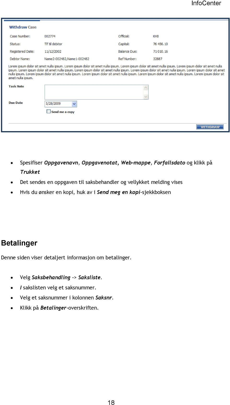 kopi-sjekkboksen Betalinger Denne siden viser detaljert informasjon om betalinger.