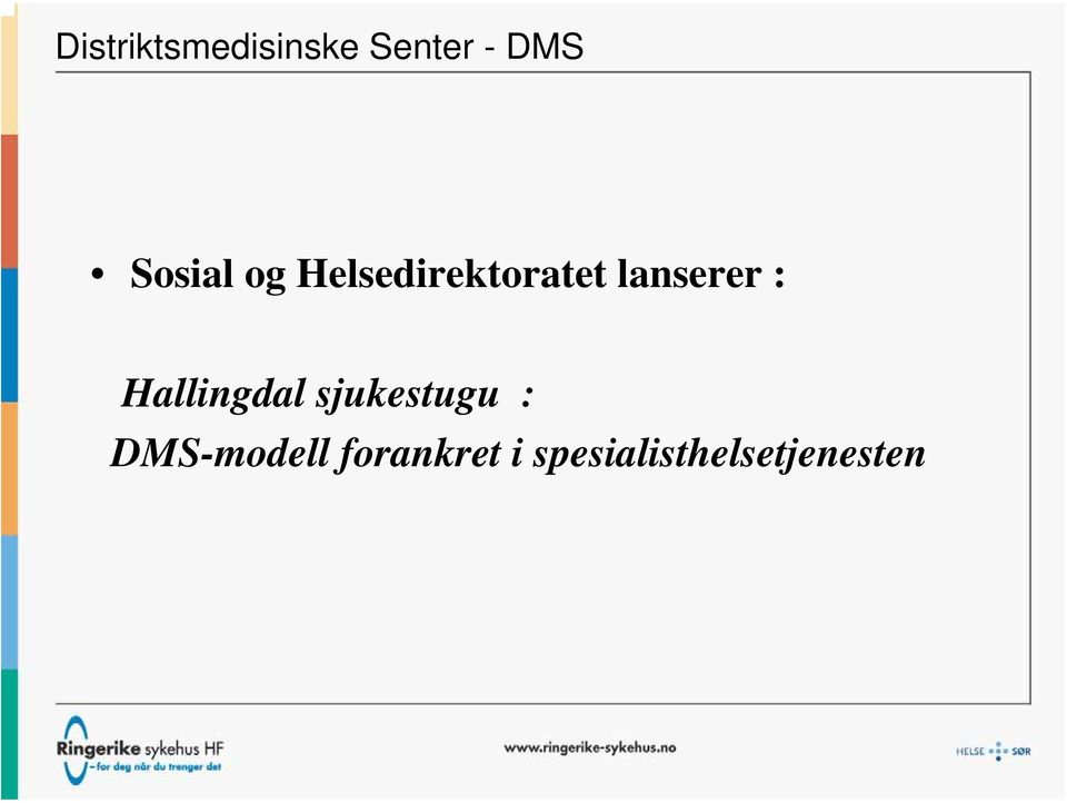 lanserer : Hallingdal sjukestugu :