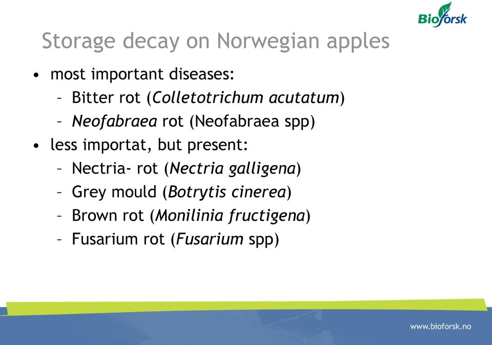 importat, but present: Nectria- rot (Nectria galligena) Grey mould