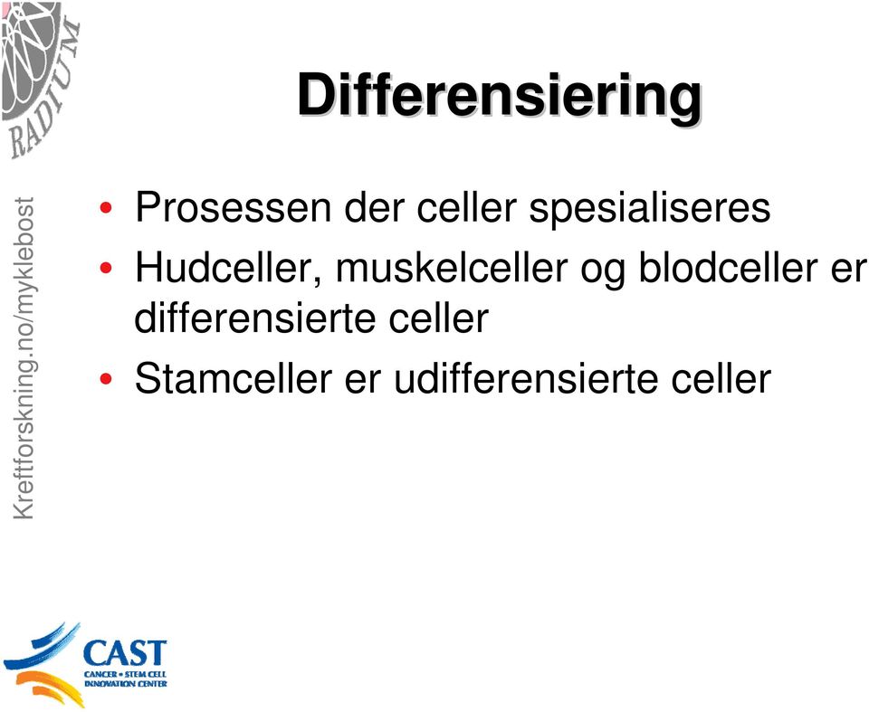 og blodceller er differensierte