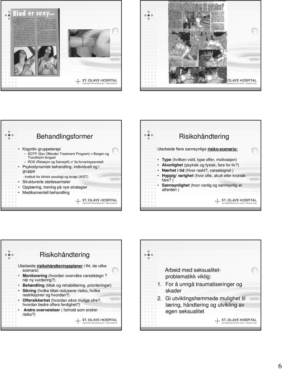 risiko-scenario: Type (hvilken vold, type offer, motivasjon) Alvorlighet (psykisk og fysisk, fare for liv?) Nærhet i tid (Hvor raskt?