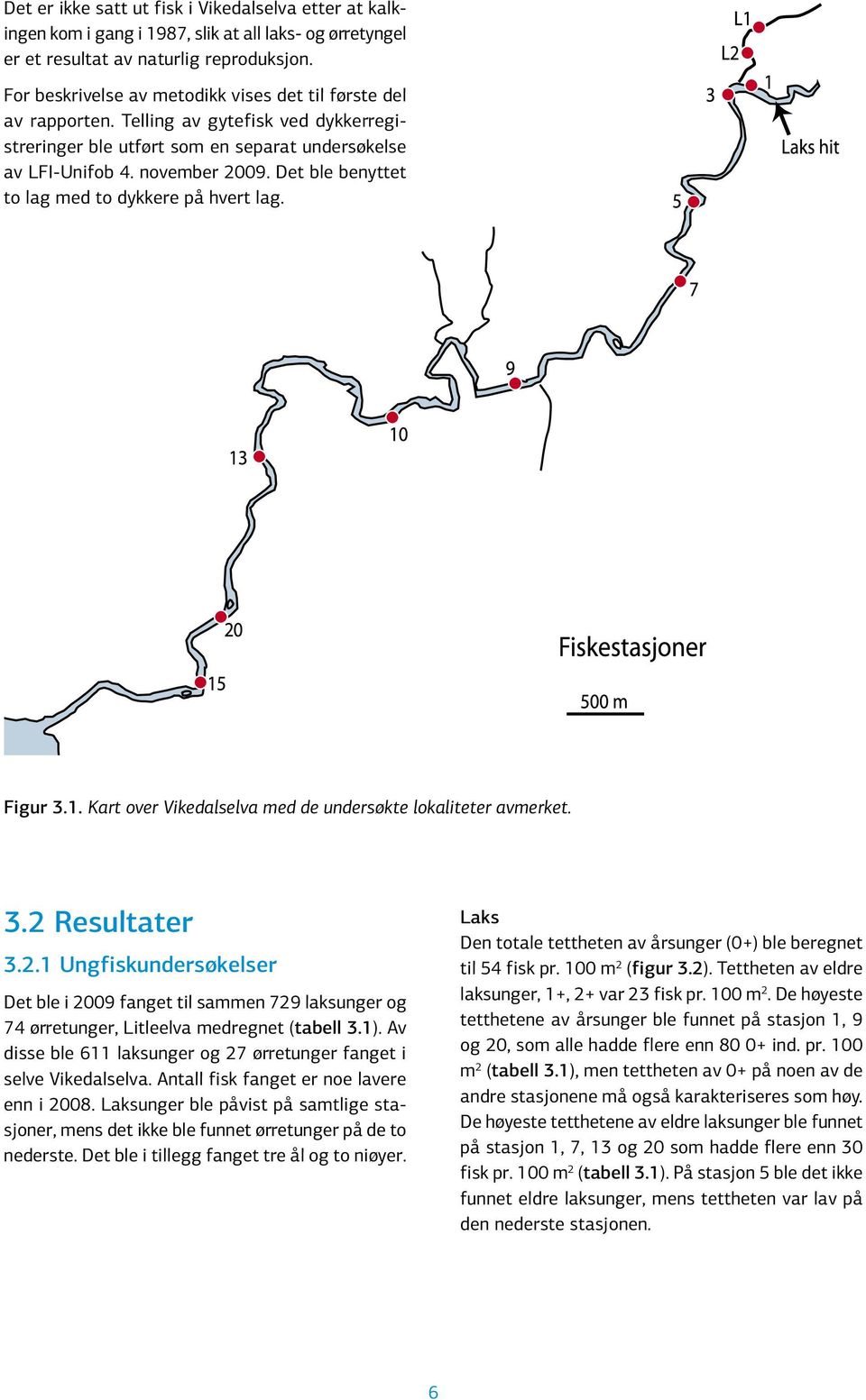 Det ble benyttet to lag med to dykkere på hvert lag. Figur 3.1. Kart over Vikedalselva med de undersøkte lokaliteter avmerket. 3.2 