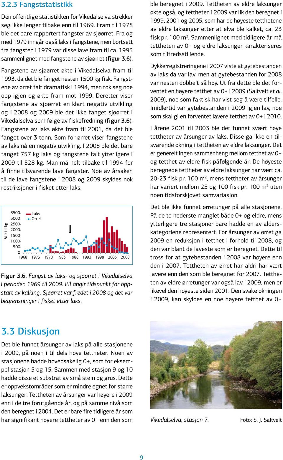 Fangstene av sjøørret økte i Vikedalselva fram til 1993, da det ble fanget nesten 15 kg fisk. Fangstene av ørret falt dramatisk i 1994, men tok seg noe opp igjen og økte fram mot 1999.