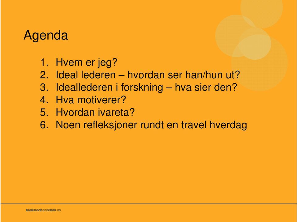 Ideallederen i forskning hva sier den? 4.