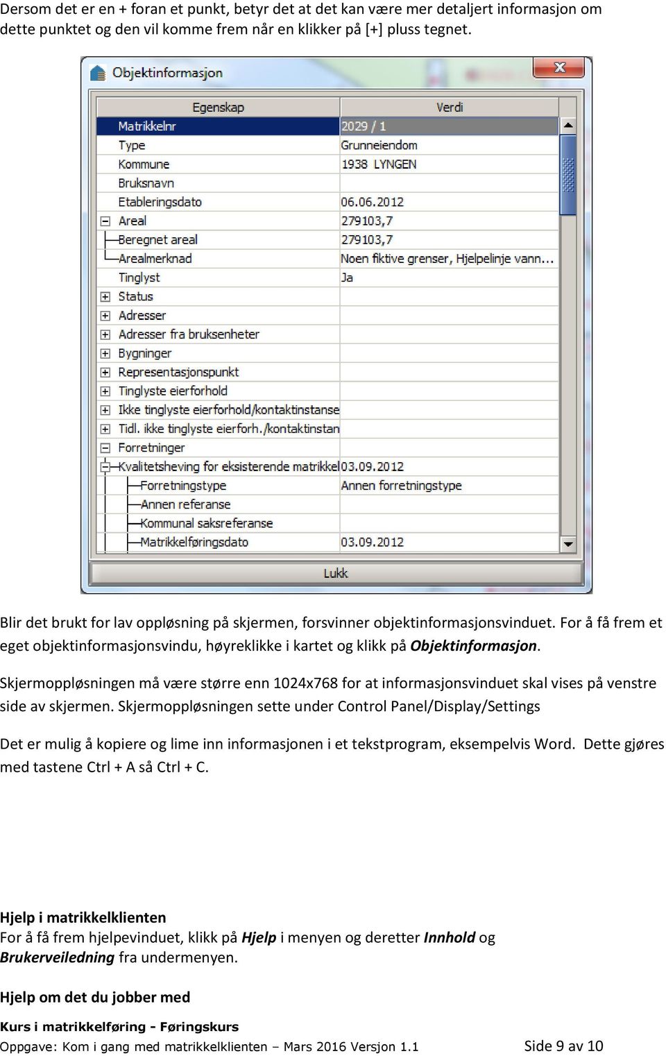 Skjermoppløsningen må være større enn 1024x768 for at informasjonsvinduet skal vises på venstre side av skjermen.