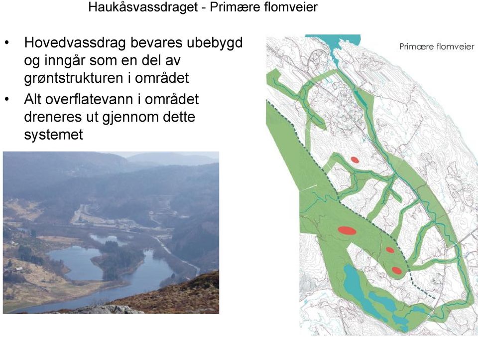 en del av grøntstrukturen i området Alt