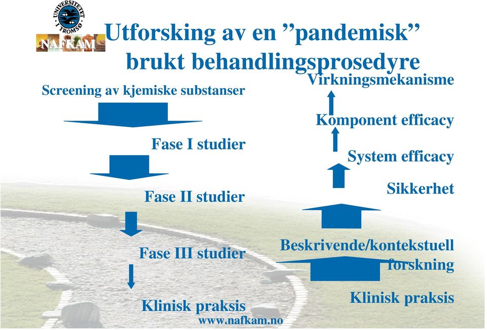 studier Komponent efficacy System efficacy Sikkerhet Fase III