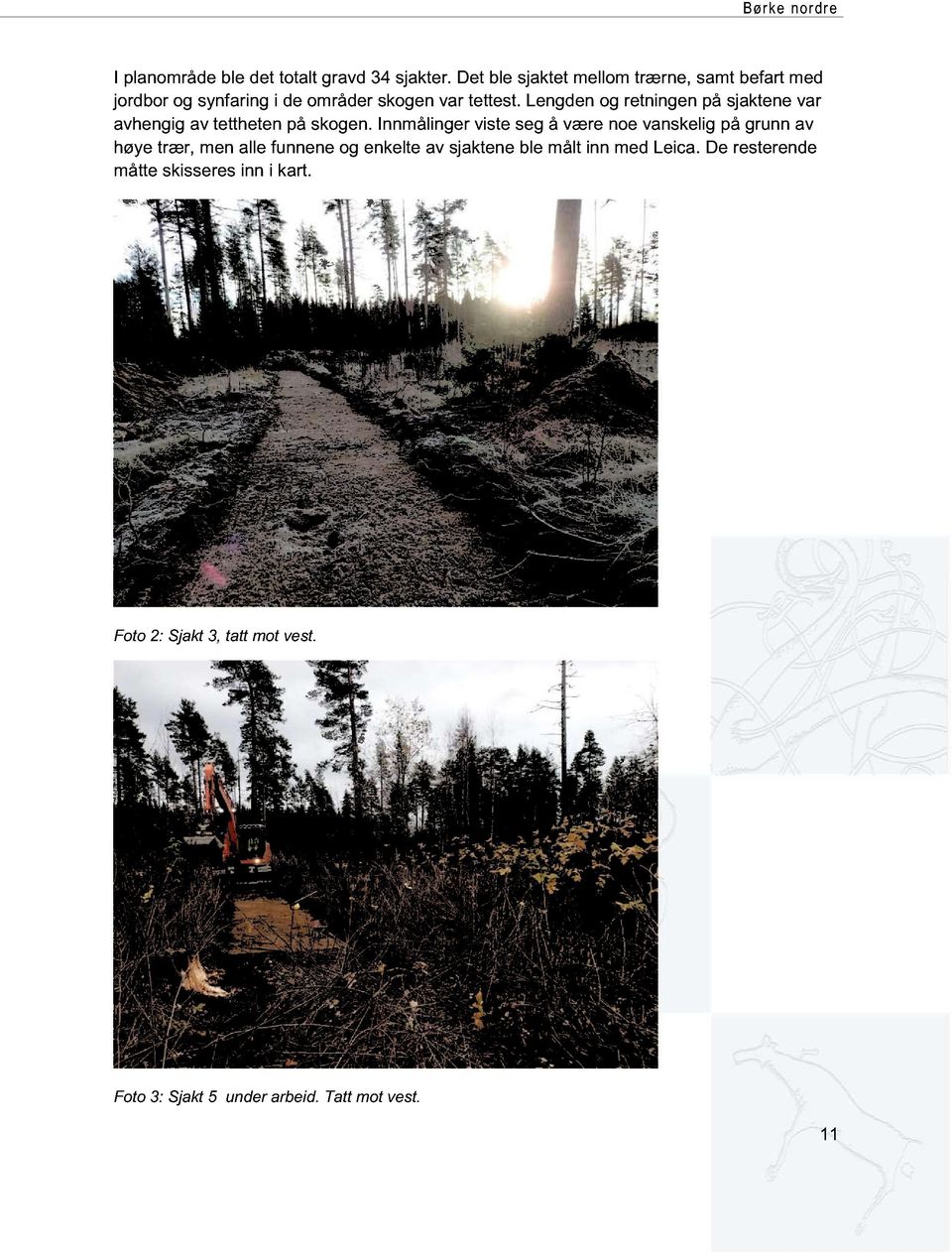 Lengden og retningen på sjaktene var avhengig av tettheten på skogen.