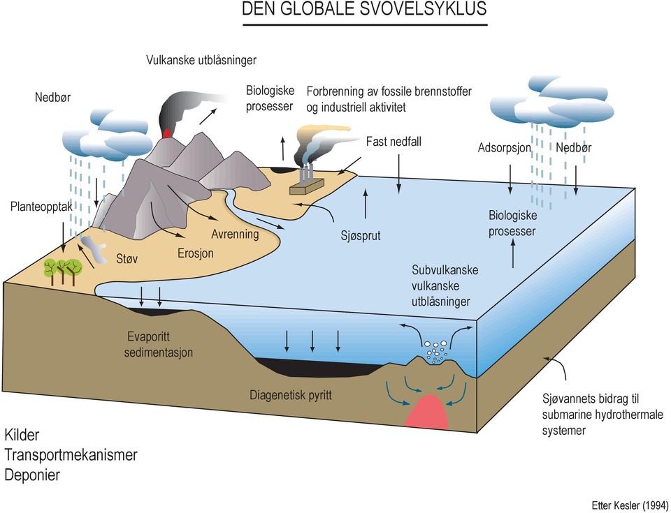 Sjøsprut Subvulkanske vulkanske utblåsninger Biologiske prosesser Evaporitt sedimentasjon Kilder