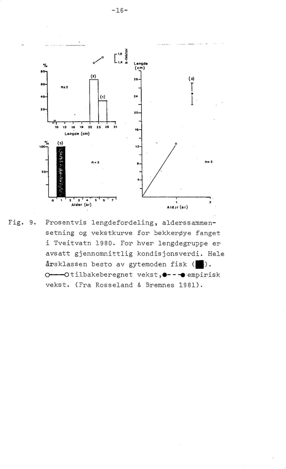 Prosentvis lengdefordeling, alderssammensetning og vekstkurve for bekkerøye fanget i Tveitvatn 1980.