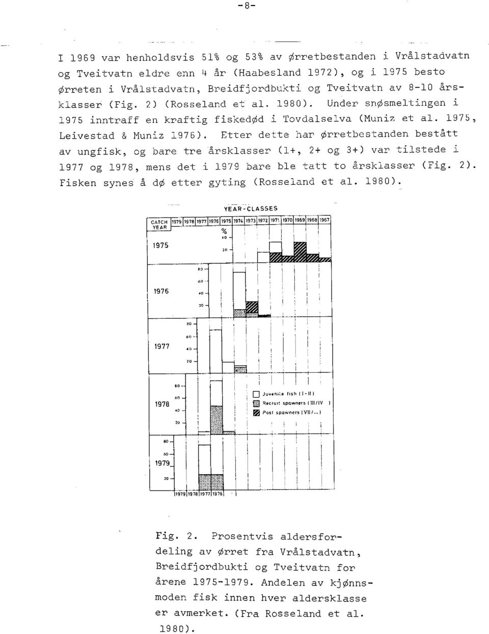 Etter dette har Ørretbestanden bestått av ungfisk, og bare tre årsklasser (1+, 2+ og 3+) var tilstede i 1977 og 1978, mens det i 1979 bare ble tatt to årsklasser (Fig. 2).