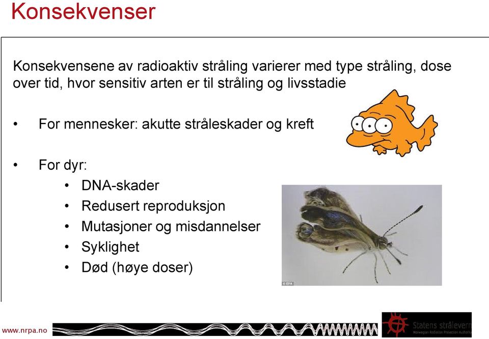 livsstadie For mennesker: akutte stråleskader og kreft For dyr: