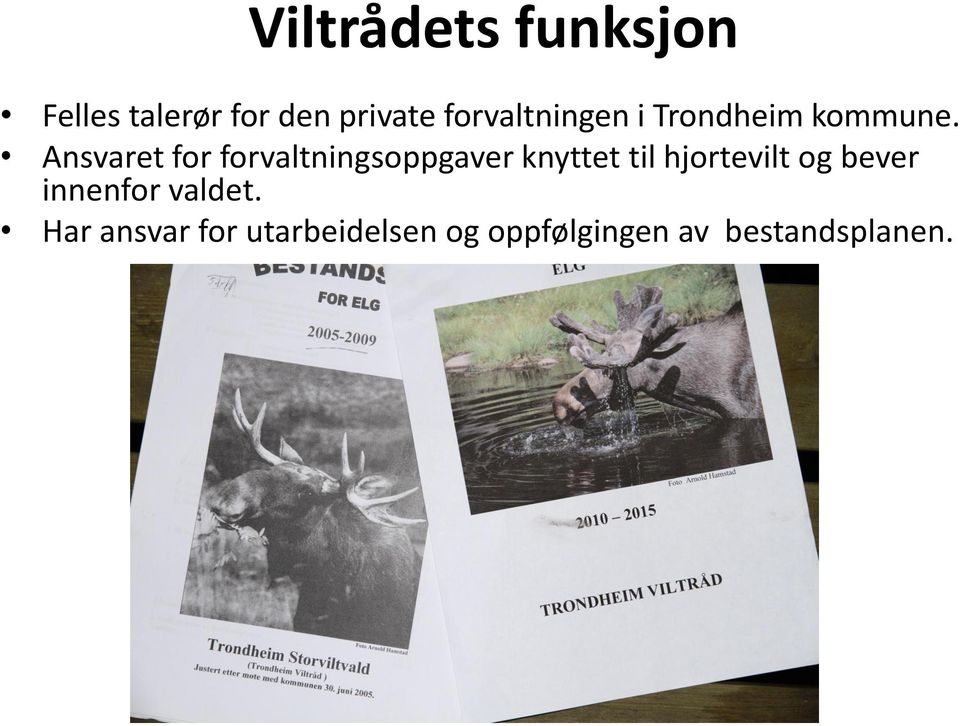 Ansvaret for forvaltningsoppgaver knyttet til hjortevilt