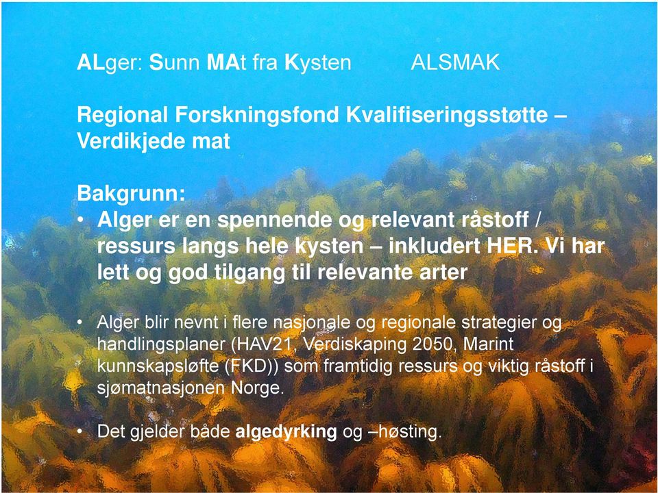 Vi har lett og god tilgang til relevante arter Alger blir nevnt i flere nasjonale og regionale strategier og