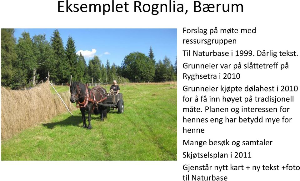 Grunneier var på slåttetreff på Ryghsetra i 2010 Grunneier kjøpte dølahest i 2010 for å få