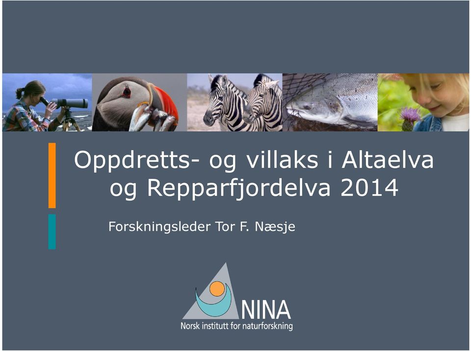 Repparfjordelva 2014