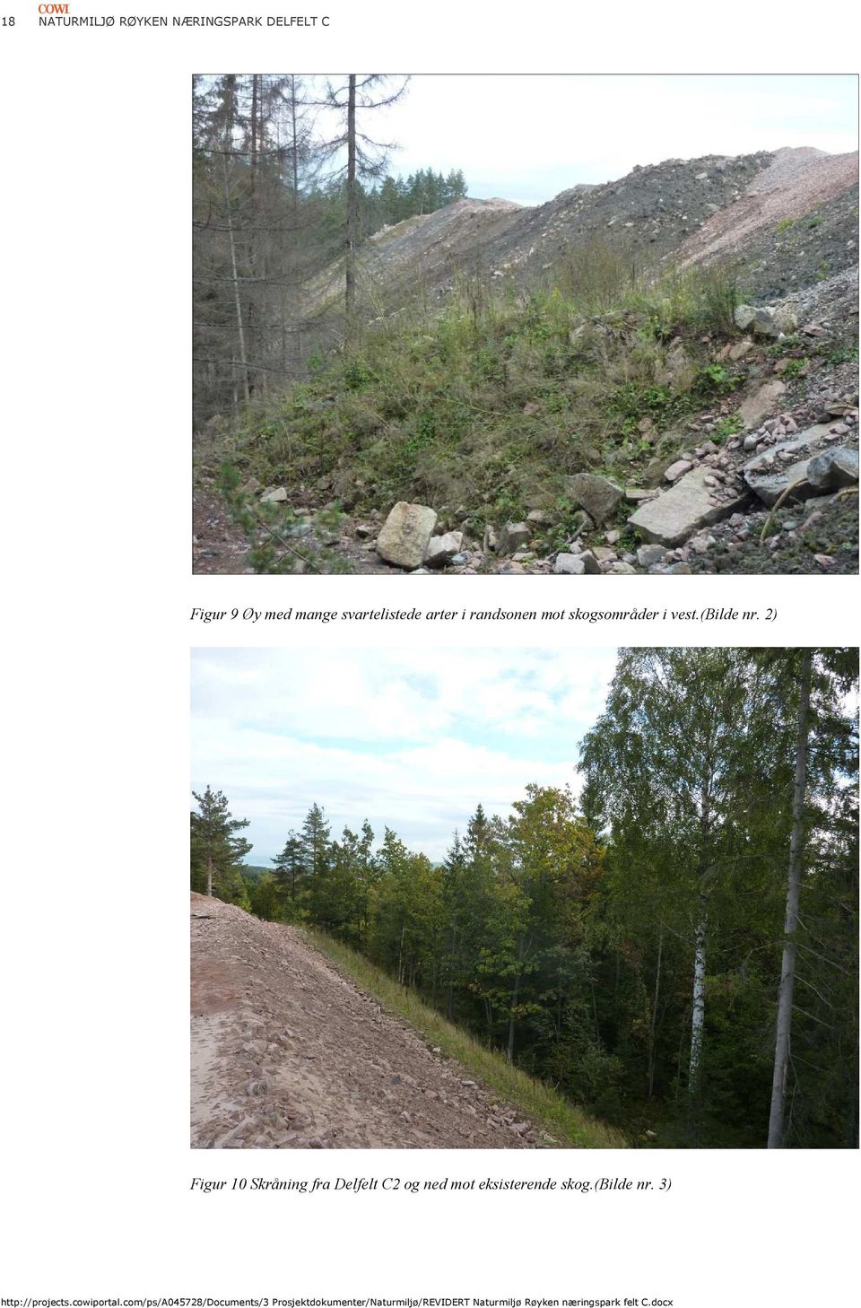 2) Figur 10 Skråning fra Delfelt C2 og ned mot eksisterende skog.(bilde nr.