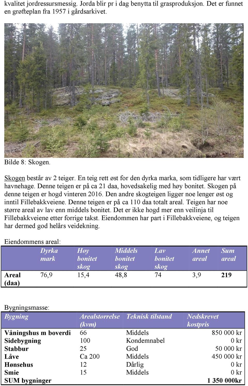 Den andre skogteigen ligger noe lenger øst og inntil Fillebakkveiene. Denne teigen er på ca 110 daa totalt areal. Teigen har noe større areal av lav enn middels bonitet.