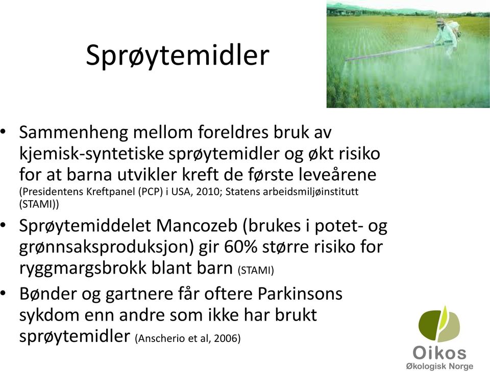 (STAMI)) Sprøytemiddelet Mancozeb (brukes i potet- og grønnsaksproduksjon) gir 60% større risiko for ryggmargsbrokk