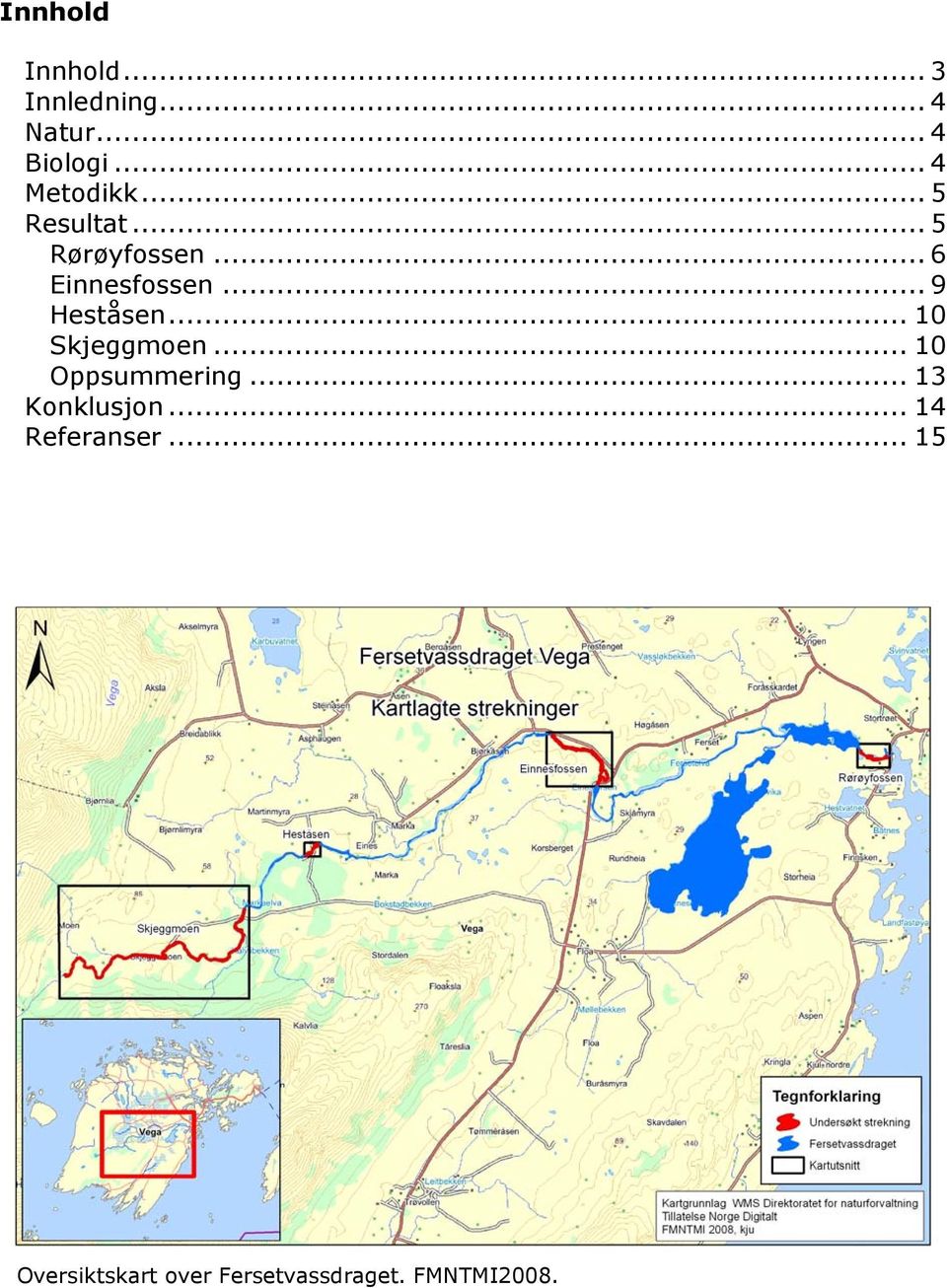 .. 9 Heståsen... 10 Skjeggmoen... 10 Oppsummering... 13 Konklusjon.