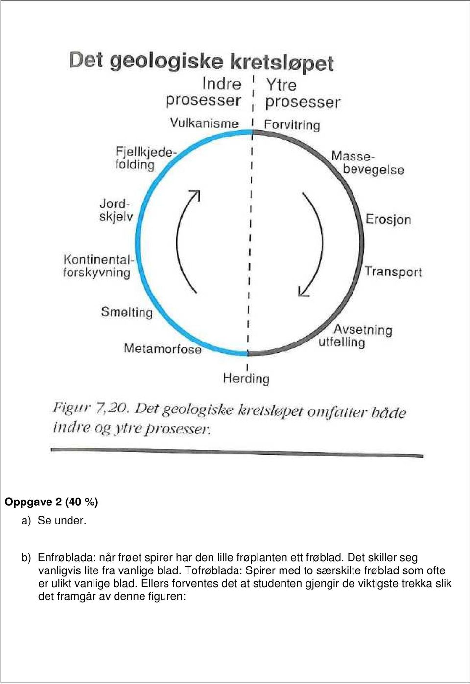 Det skiller seg vanligvis lite fra vanlige blad.