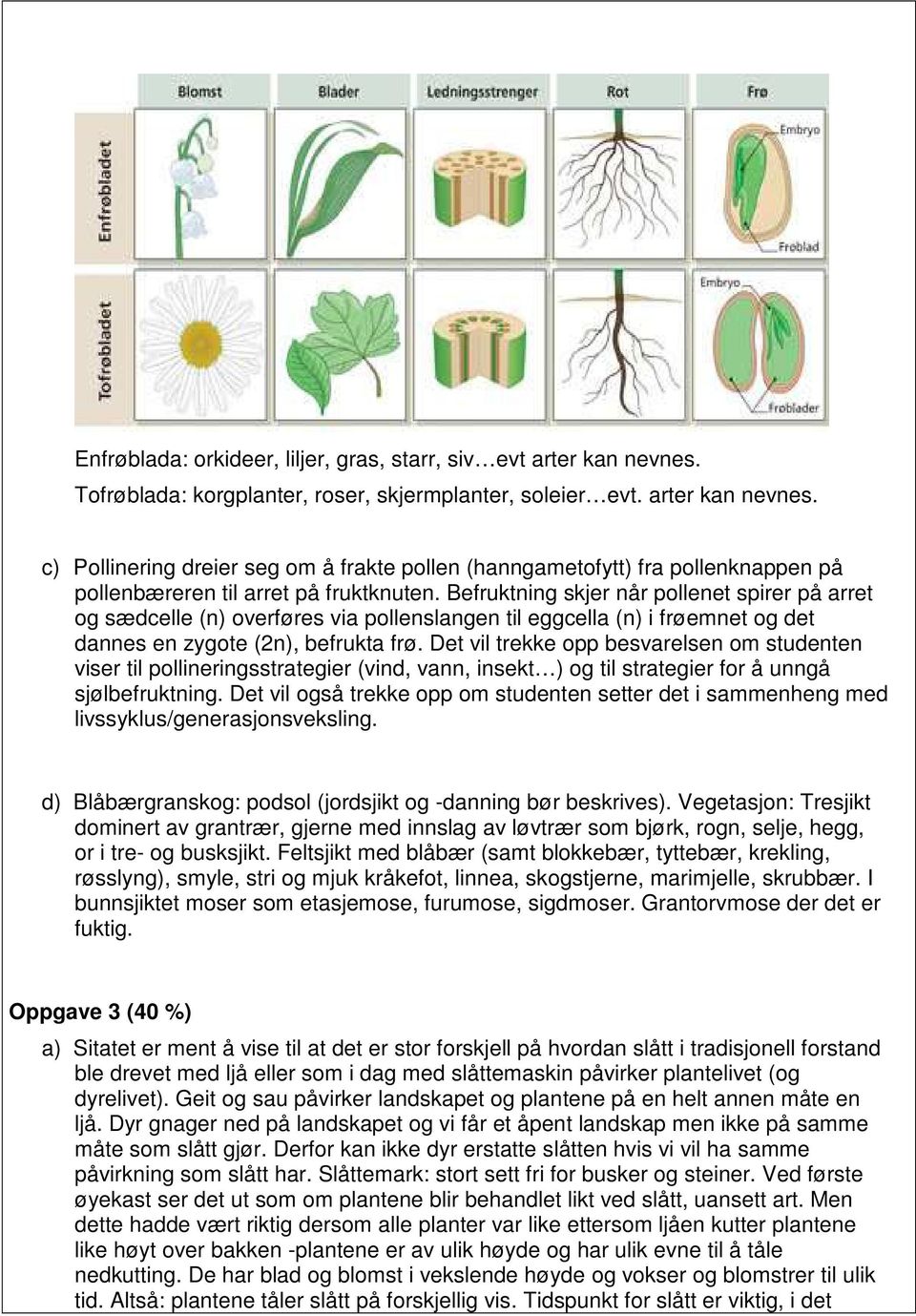 Det vil trekke opp besvarelsen om studenten viser til pollineringsstrategier (vind, vann, insekt ) og til strategier for å unngå sjølbefruktning.