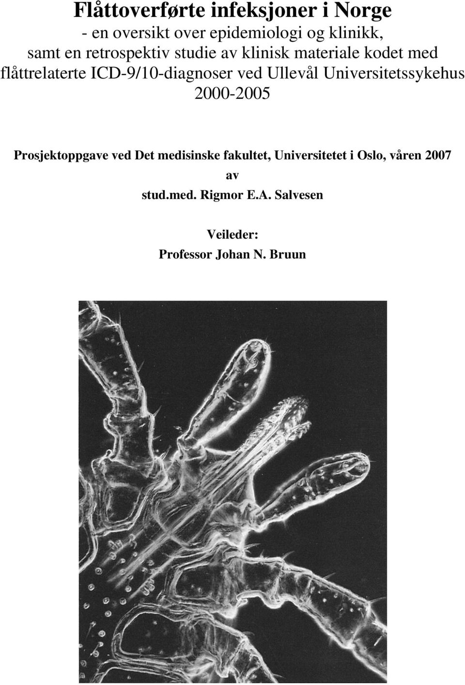 Universitetssykehus 2000-2005 Prosjektoppgave ved Det medisinske fakultet,