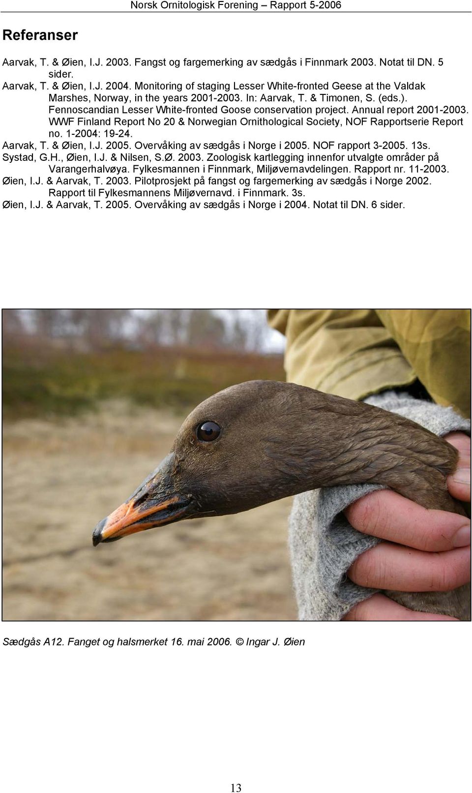 Fennoscandian Lesser White-fronted Goose conservation project. Annual report 2001-2003. WWF Finland Report No 20 & Norwegian Ornithological Society, NOF Rapportserie Report no. 1-2004: 19-24.