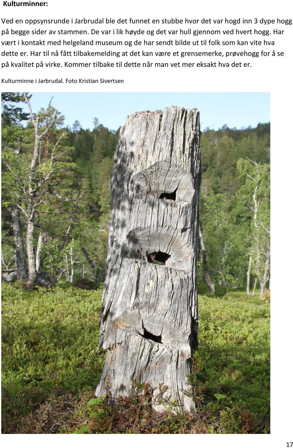 Har vært i kontakt med helgeland museum og de har sendt bilde ut til folk som kan vite hva dette er.