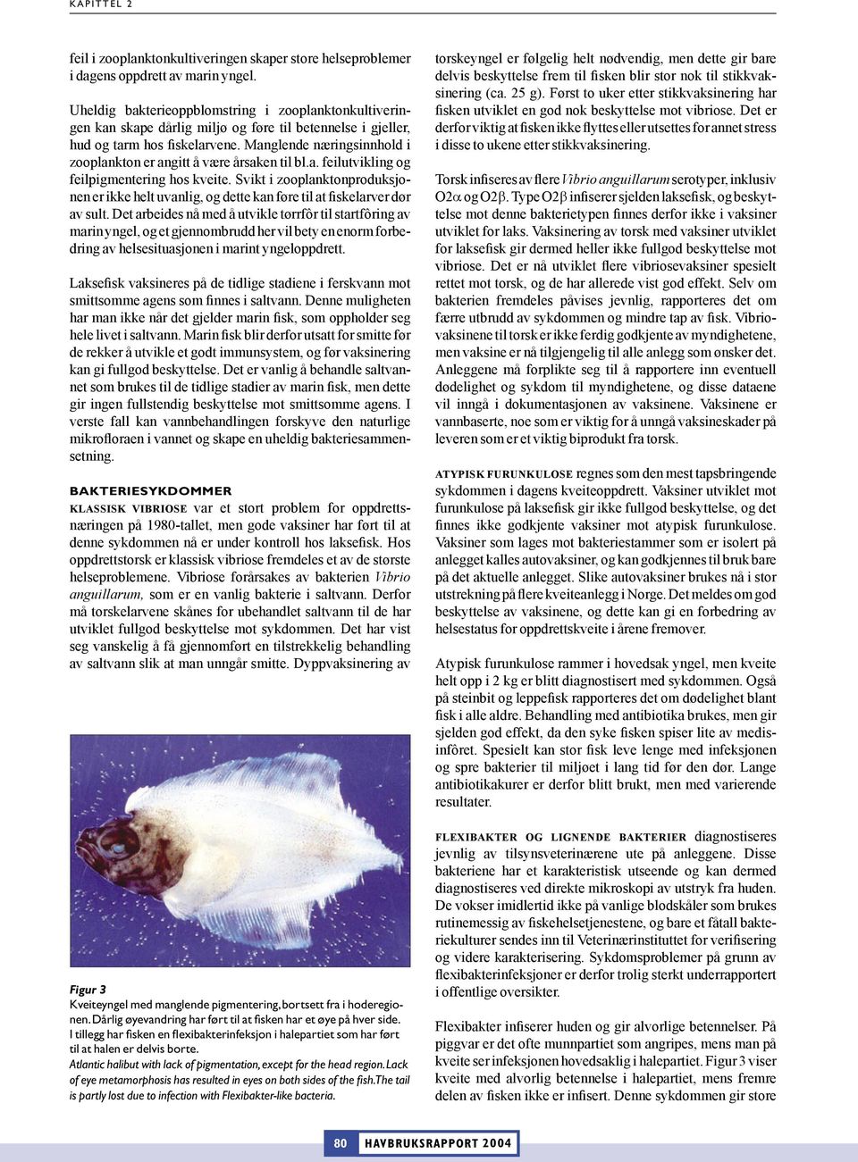 Manglende næringsinnhold i zooplankton er angitt å være årsaken til bl.a. feilutvikling og feilpigmentering hos kveite.