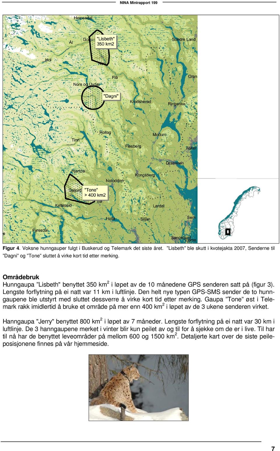 Den helt nye typen GPS-SMS sender de to hunngaupene ble utstyrt med sluttet dessverre å virke kort tid etter merking.