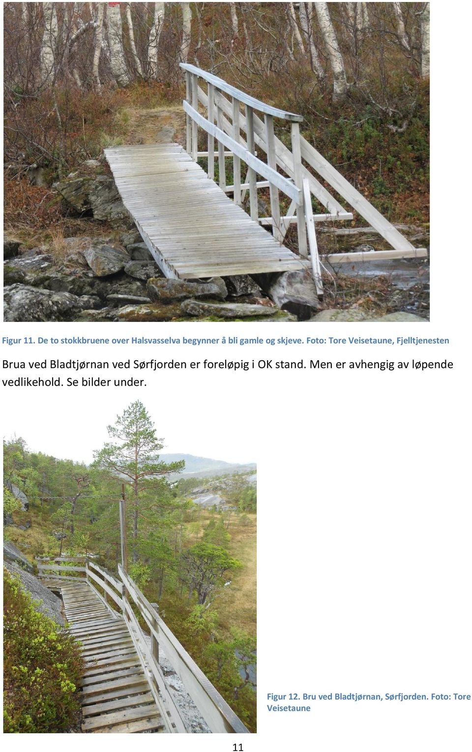 Foto: Tore Veisetaune, Fjelltjenesten Brua ved Bladtjørnan ved Sørfjorden