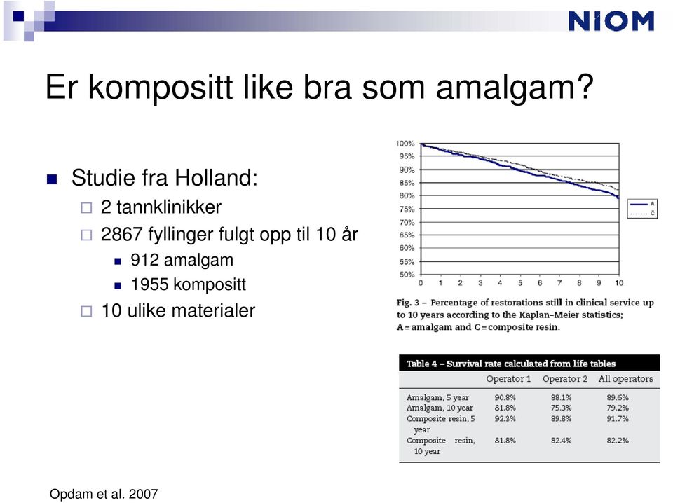 fyllinger fulgt opp til 10 år 912 amalgam