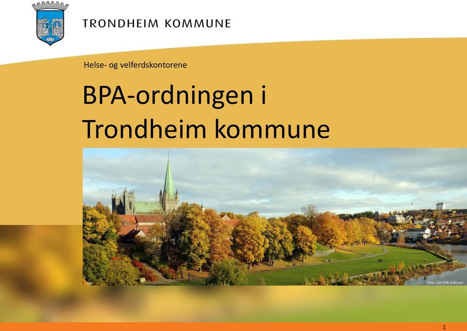 BPA-ordningen i