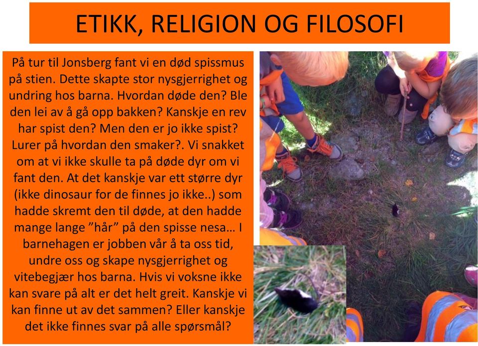 At det kanskje var ett større dyr (ikke dinosaur for de finnes jo ikke.