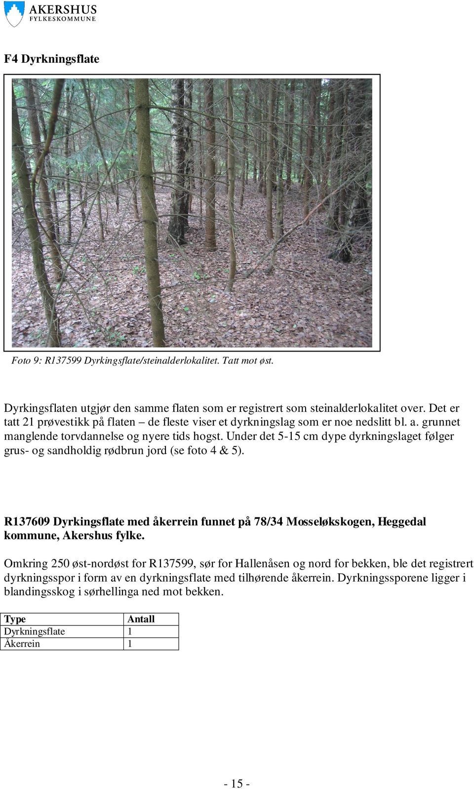 Under det 5-15 cm dype dyrkningslaget følger grus- og sandholdig rødbrun jord (se foto 4 & 5). R137609 Dyrkingsflate med åkerrein funnet på 78/34 Mosseløkskogen, Heggedal kommune, Akershus fylke.