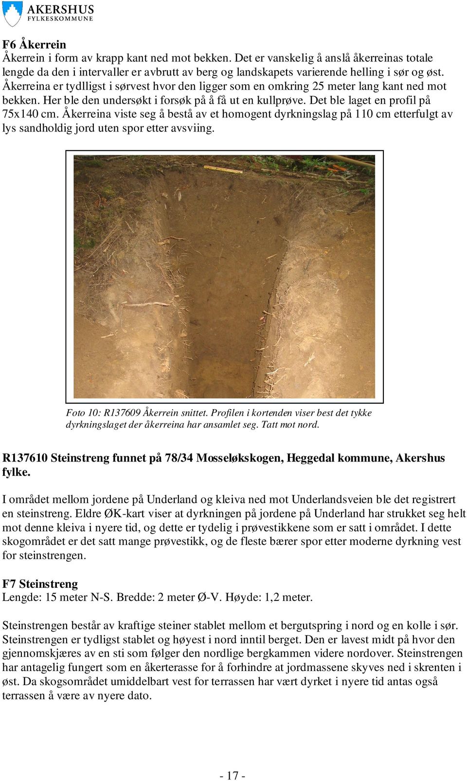 Åkerreina viste seg å bestå av et homogent dyrkningslag på 110 cm etterfulgt av lys sandholdig jord uten spor etter avsviing. Foto 10: R137609 Åkerrein snittet.