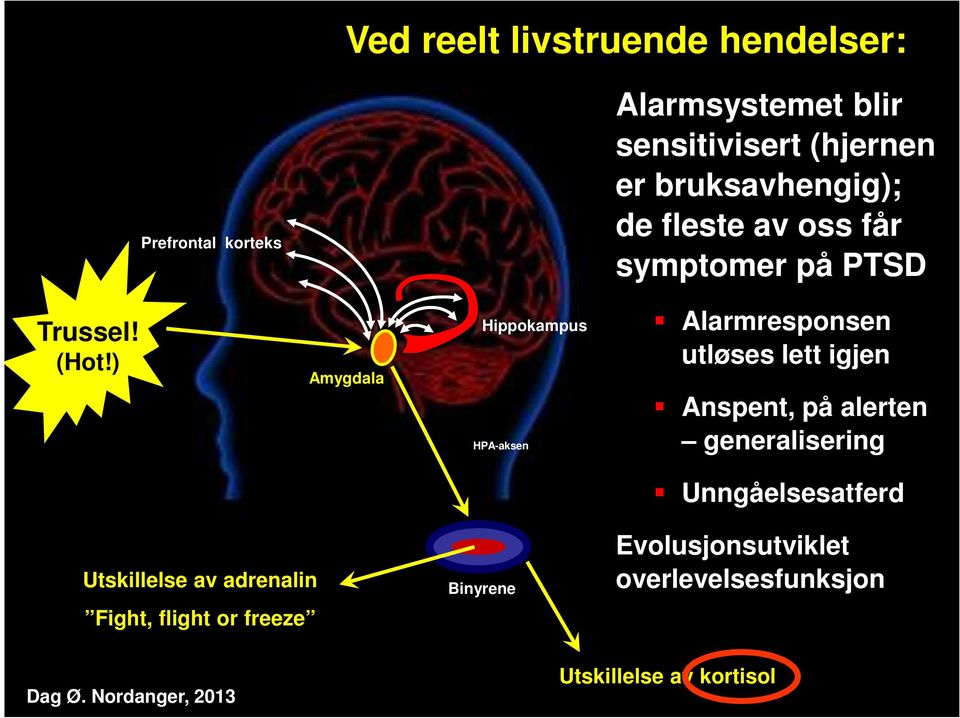 ) Amygdala Hippokampus HPA-aksen Alarmresponsen utløses lett igjen Anspent, på alerten generalisering