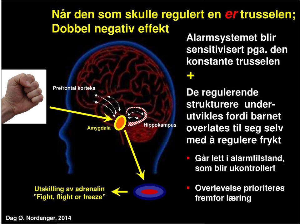 den konstante trusselen + De regulerende strukturere underutvikles fordi barnet overlates til seg