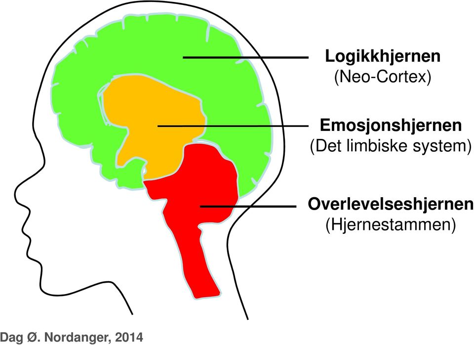 Emosjonshjernen (Det