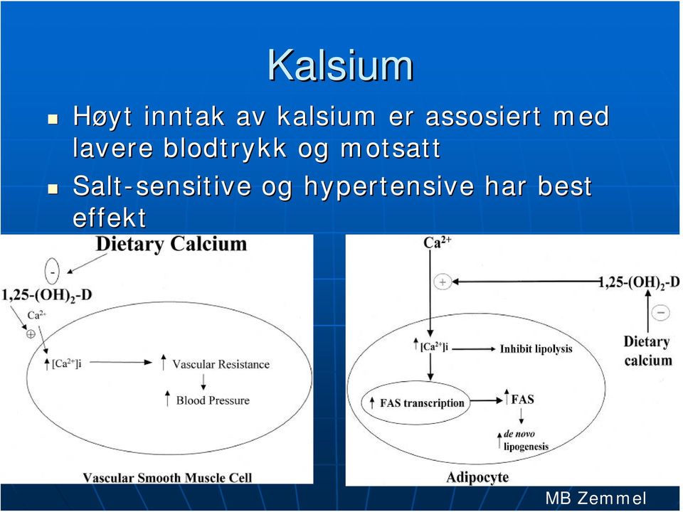 blodtrykk og motsatt